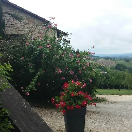 Couette-café En Rouge Et Noir Monbazillac