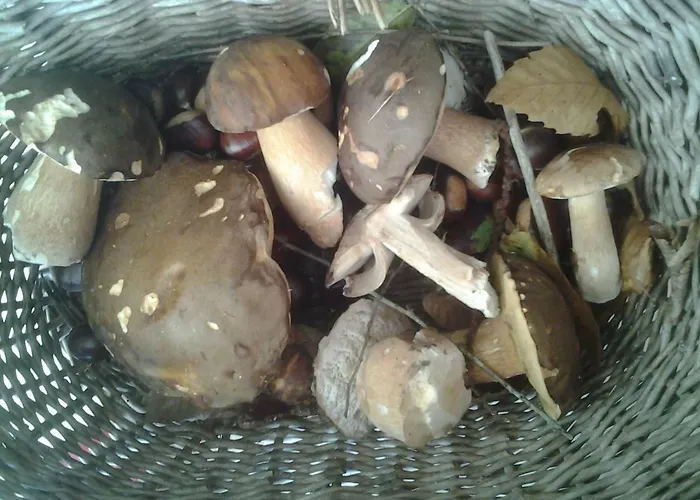 فندق مبيت وإفطار En Rouge Et Noir