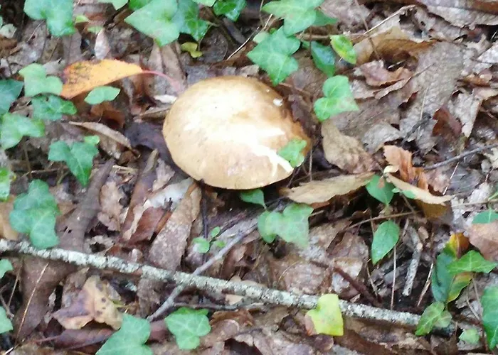 En Rouge Et Noir فندق مبيت وإفطار