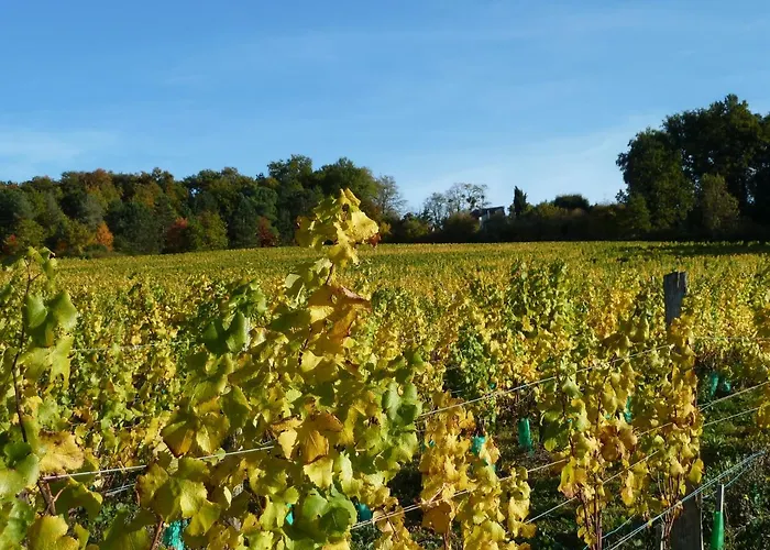 فندق مبيت وإفطار En Rouge Et Noir